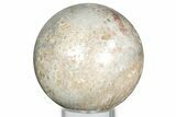 Polished Agatized Fossil Coral Sphere - Indonesia #326839-1
